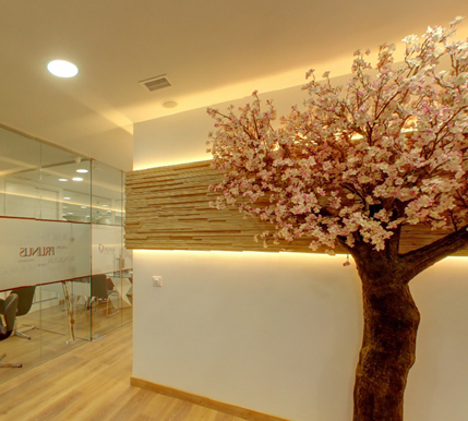 Prunus dental clinic